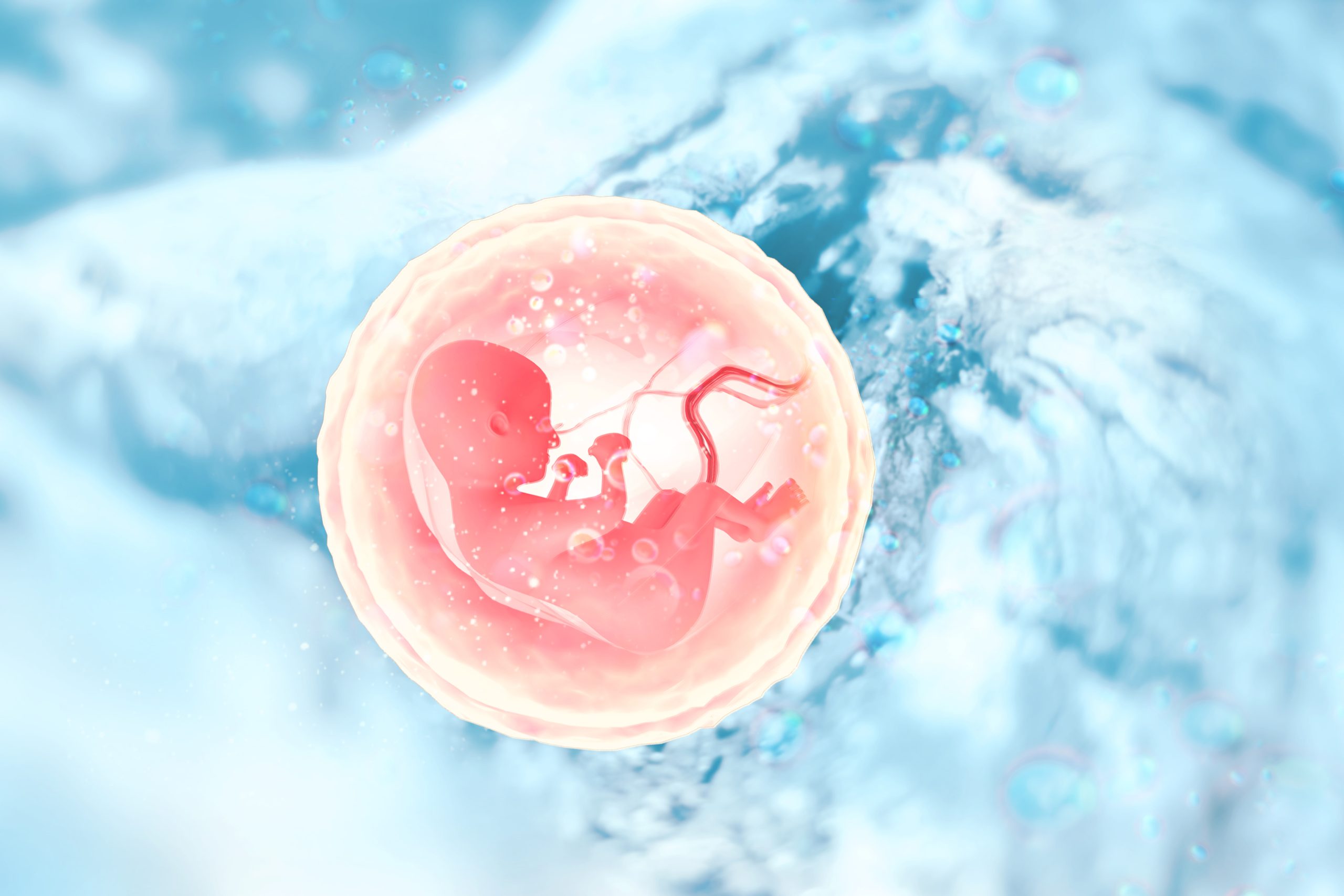 Human fetus on scientific background.3d illustration